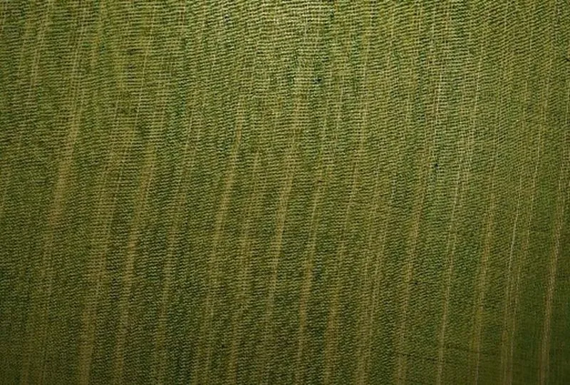 Light Green Plain Jharna Cotton ST Fabric